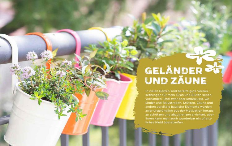 Produktbild: Begr&uuml;nen was geht
