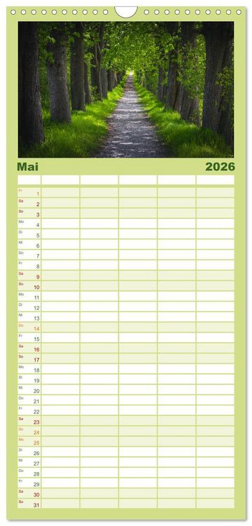 Produktbild: Familienplaner 2026 - Magischer Harzwald mit 5 Spalten (Wandkalender, 21 x 45 cm) CALVENDO
