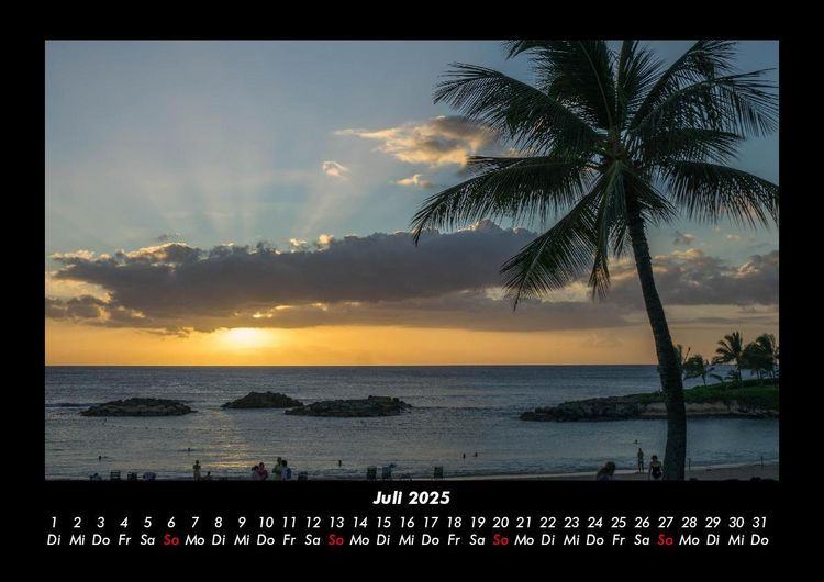 Produktbild: Palmentraum 2025 Fotokalender DIN A3