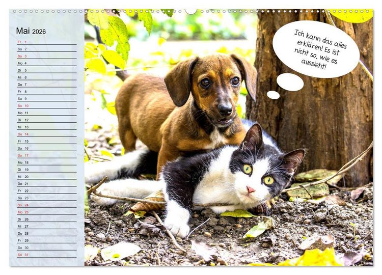 Produktbild: Hurra! Wir gehen Gassi! Abenteuer mit dem Hund! (Wandkalender 2026 DIN A2 quer), CALVENDO Monatskalender