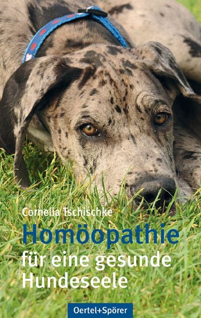 Produktbild: Homo&ouml;pathie