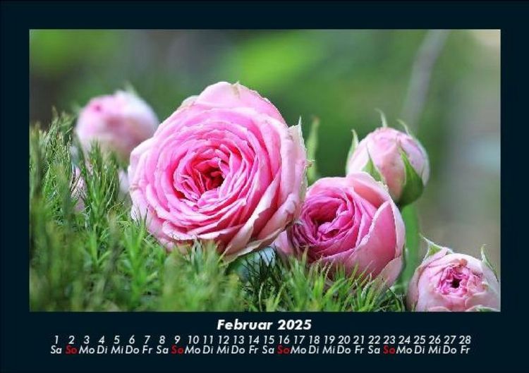 Produktbild: Rosentraum 2025 Fotokalender DIN A5