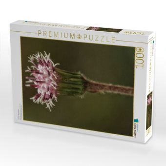 Produktbild: CALVENDO Puzzle Gr&uuml;ner Alpenlattich | 1000 Teile Lege-Gr&ouml;&szlig;e 64x48cm Foto-Puzzle f&uuml;r gl&uuml;ckliche Stunden