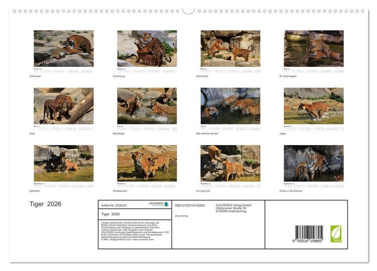 Produktbild: Tiger 2026 (hochwertiger Premium Wandkalender 2026 DIN A2 quer), Kunstdruck in Hochglanz
