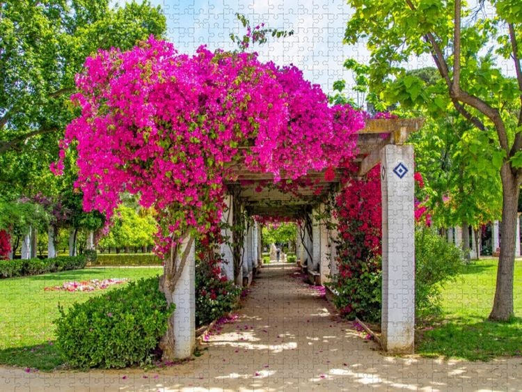 Produktbild: CALVENDO Puzzle Blumenpracht im Park Maria Luisa | 1000 Teile Lege-Gr&ouml;&szlig;e 64x48cm Foto-Puzzle f&uuml;r gl&uuml;ckliche Stunden