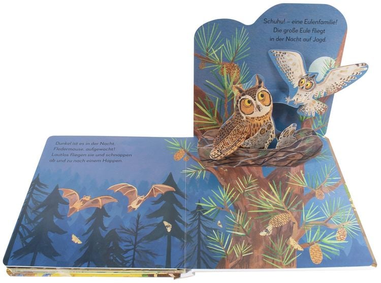 Produktbild: Mein Pop-up-Buch zum Staunen. Wer lebt im Wald?