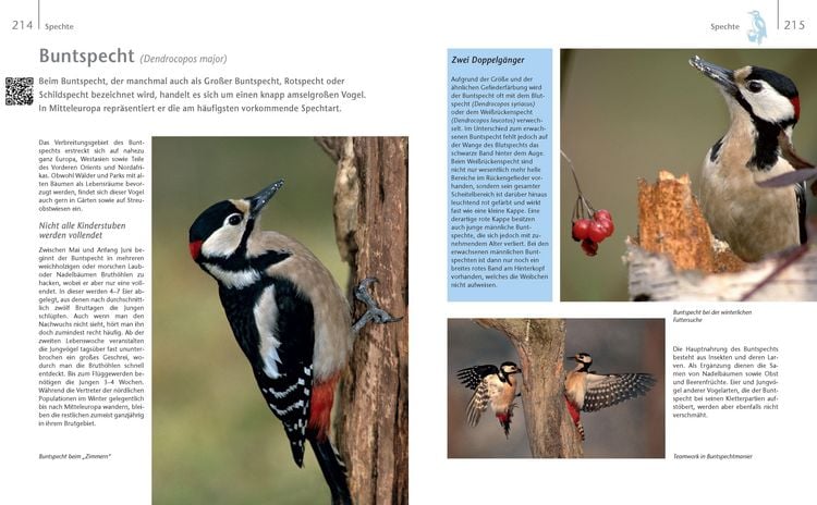 Produktbild: V&ouml;gel zu Gast im Garten - Heimische V&ouml;gel beobachten, bestimmen, sch&uuml;tzen.