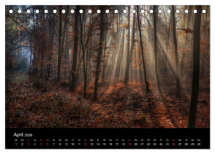 Produktbild: Waldkalender (Tischkalender 2026 DIN A5 quer), CALVENDO Monatskalender