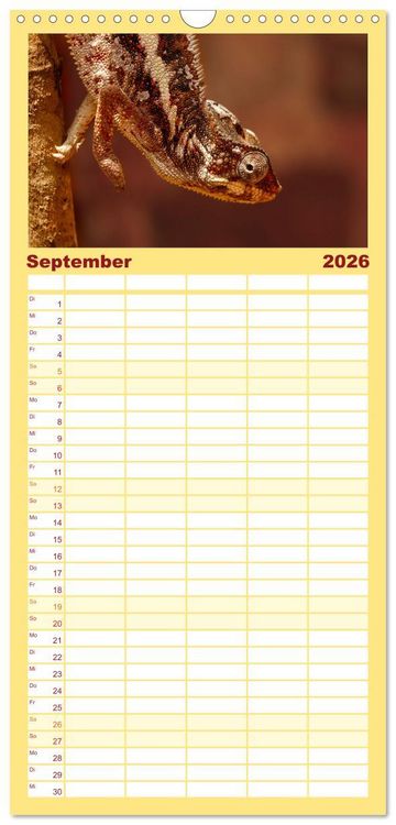 Produktbild: Familienplaner 2026 - Tierisch tolles Madagaskar - Cham&auml;leons, Lemuren und mehr mit 5 Spalten (Wandkalender, 21 x 45 cm) CALVENDO