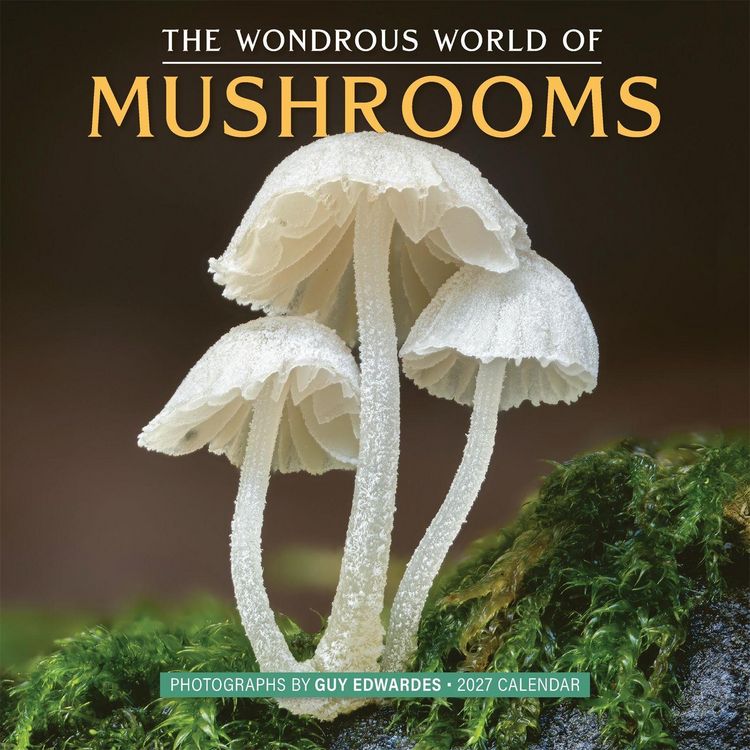 Produktbild: The Wondrous World of Mushrooms Wall Calendar 2027