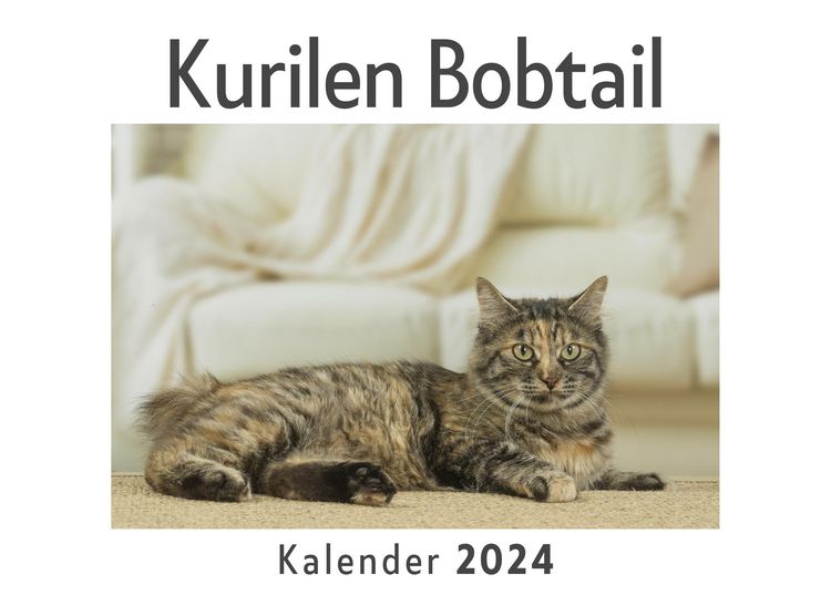 Produktbild: Kurilen Bobtail (Wandkalender 2024, Kalender DIN A4 quer, Monatskalender im Querformat mit Kalendarium, Das perfekte Geschenk)