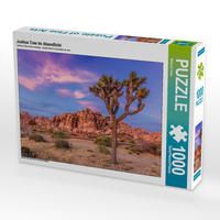 Produktbild: CALVENDO Puzzle Joshua Tree im Abendlicht | 1000 Teile Lege-Gr&ouml;&szlig;e 64x48cm Foto-Puzzle f&uuml;r gl&uuml;ckliche Stunden