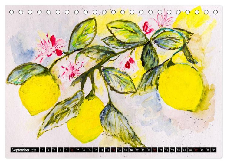 Produktbild: Blumenjahr - Bunte Bl&uuml;ten in Aquarell (Tischkalender 2026 DIN A5 quer), CALVENDO Monatskalender