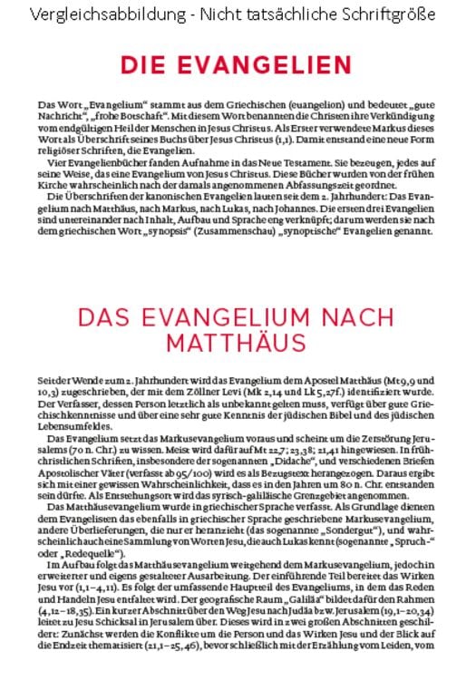 Produktbild: Die Bibel. Mit Sonderseiten für junge Menschen.