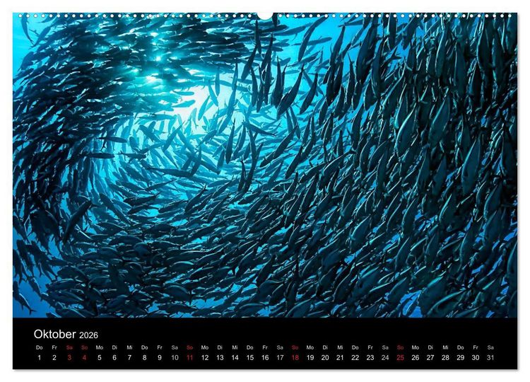 Produktbild: Fischschw&auml;rme (Wandkalender 2026 DIN A2 quer), CALVENDO Monatskalender