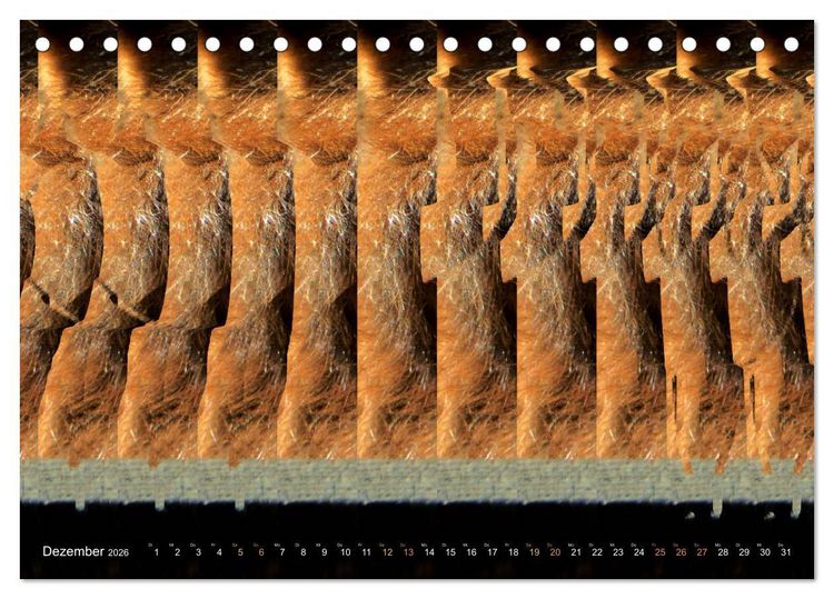 Produktbild: Magische Bilder - 3D Stereogramme (Tischkalender 2026 DIN A5 quer), CALVENDO Monatskalender