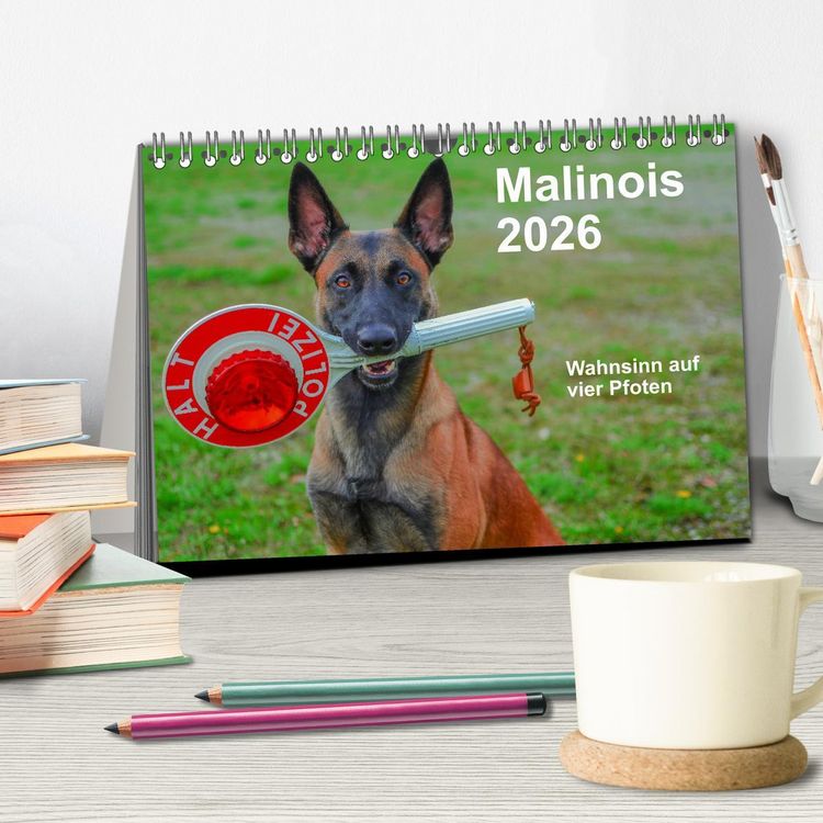 Produktbild: Malinois - Wahnsinn auf vier Pfoten (Tischkalender 2026 DIN A5 quer), CALVENDO Monatskalender