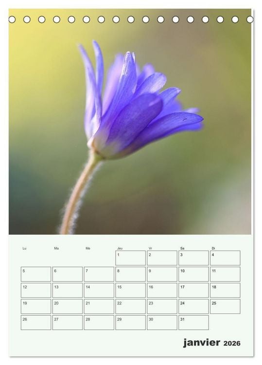 Produktbild: Fleurs en toute simplicit&eacute; - Beaut&eacute; minimaliste (Calendrier de bureau 2026 DIN A5 horizontal), CALVENDO calendrier mensuel