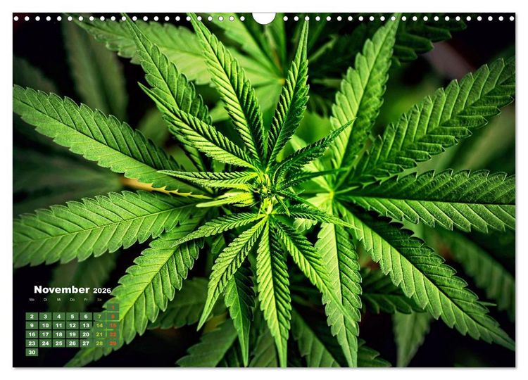 Produktbild: Die Welt in Gr&uuml;n (Wandkalender 2026 DIN A3 quer), CALVENDO Monatskalender
