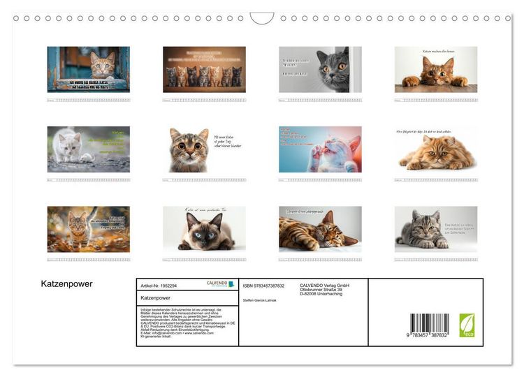 Produktbild: Katzenpower (Wandkalender 2026 DIN A3 quer), CALVENDO Monatskalender