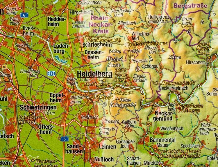 Produktbild: Markgraf, A: Reliefpostkarte Heidelberg