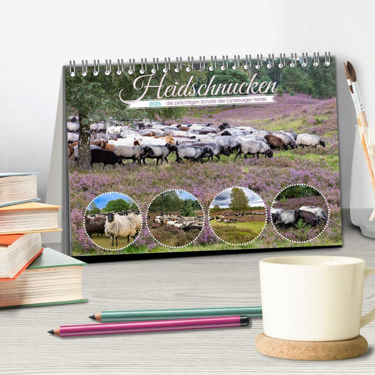 Produktbild: Heidschnucken, die pr&auml;chtigen Schafe der L&uuml;neburger Heide (Tischkalender 2026 DIN A5 quer), CALVENDO Monatskalender