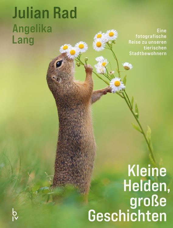 Produktbild: Kleine Helden &ndash; gro&szlig;e Geschichten