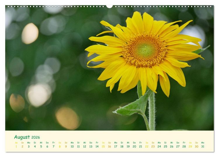 Produktbild: Naturwunder Bl&uuml;ten (hochwertiger Premium Wandkalender 2026 DIN A2 quer), Kunstdruck in Hochglanz