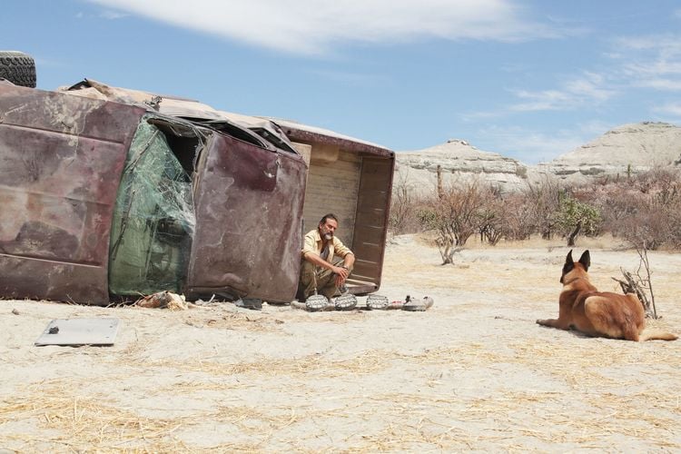 Produktbild: Desierto - T&ouml;dliche Hetzjagd