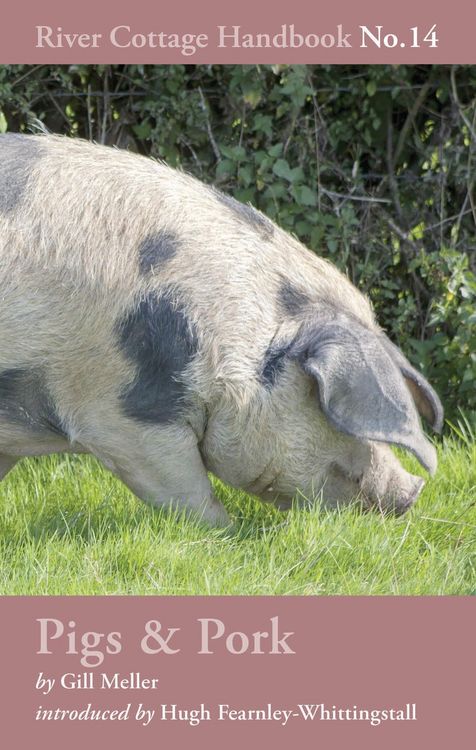 Produktbild: Pigs & Pork