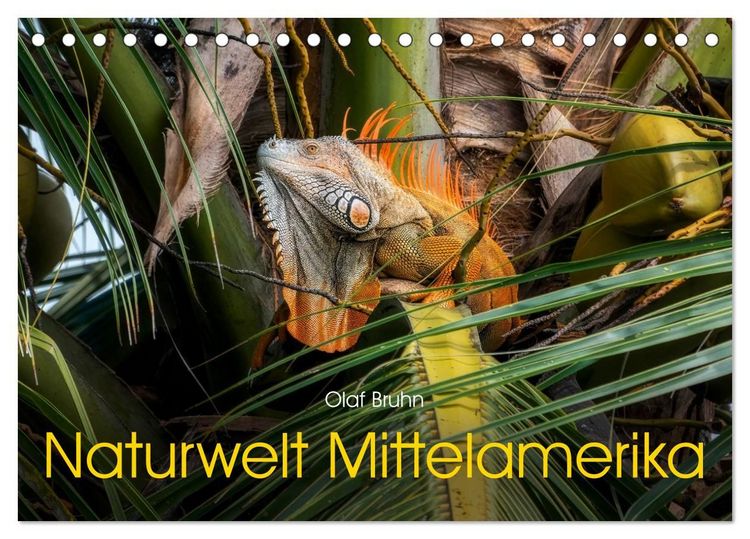 Produktbild: Naturwelt Mittelamerika (Tischkalender 2027 DIN A5 quer), CALVENDO Monatskalender