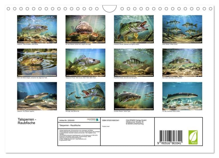 Produktbild: Talsperren - Raubfische (Wandkalender 2027 DIN A4 quer), CALVENDO Monatskalender