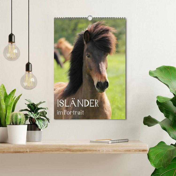 Produktbild: Isl&auml;nder im Portrait (Wandkalender 2026 DIN A3 hoch), CALVENDO Monatskalender