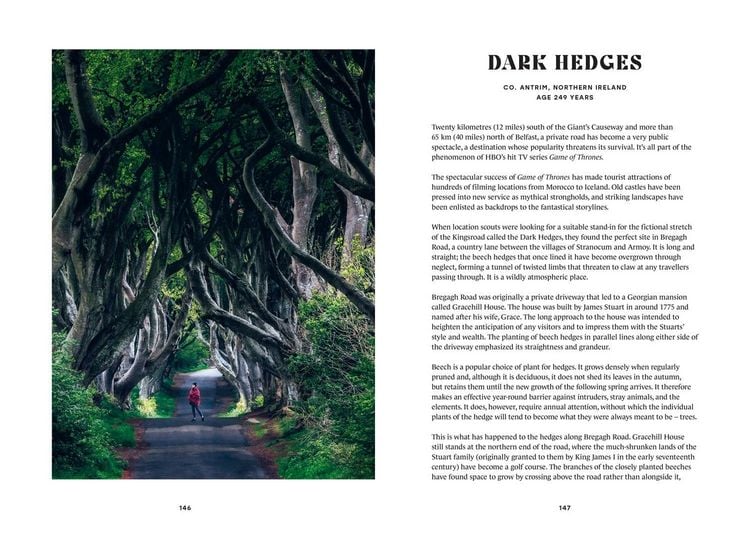 Produktbild: The History Trees