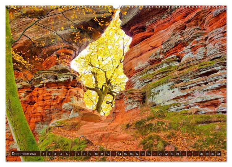 Produktbild: Der Altschlossfelsen - Gr&ouml;&szlig;te Felsformation der Pfalz im herbstlichen Farbspiel (hochwertiger Premium Wandkalender 2026 DIN A2 quer), Kunstdruck in Hochglanz
