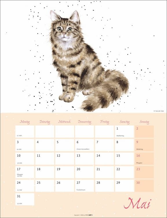 Produktbild: Country Life Kalender 2027