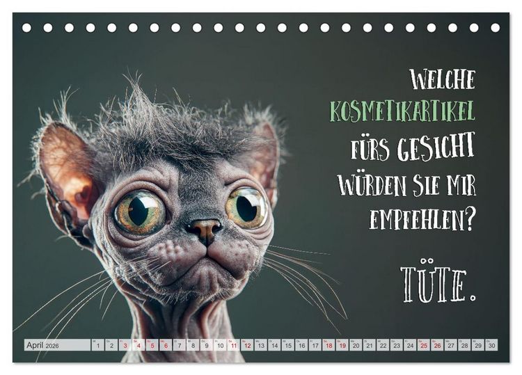Produktbild: Katzenlogik - Wenn Blicke miauen k&ouml;nnten (Tischkalender 2026 DIN A5 quer), CALVENDO Monatskalender