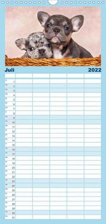 Produktbild: Bullys - Franz&ouml;sische Bulldoggen 2022 - Familienplaner hoch (Wandkalender 2022 , 21 cm x 45 cm, hoch)