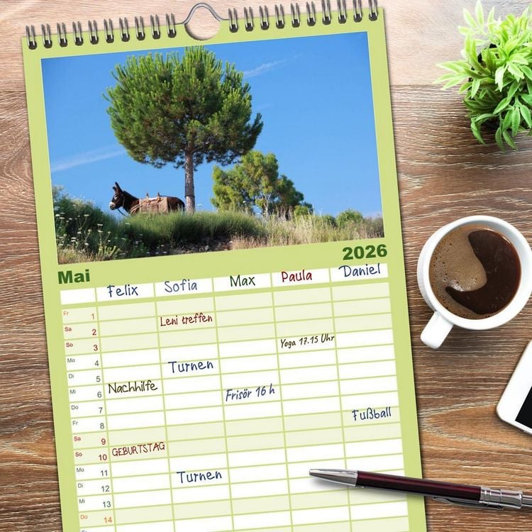 Produktbild: Familienplaner 2026 - Esel - liebenswerte Langohren mit 5 Spalten (Wandkalender, 21 x 45 cm) CALVENDO