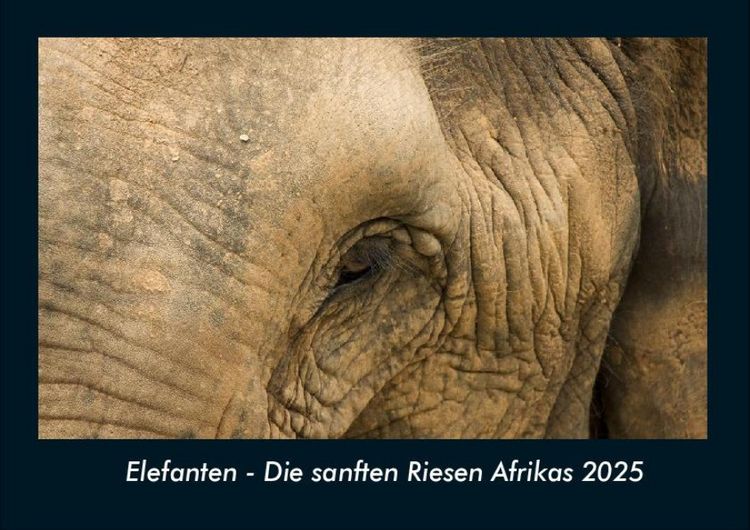 Produktbild: Elefanten - Die sanften Riesen Afrikas 2025 Fotokalender DIN A4