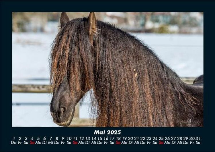 Produktbild: Die Welt der Pferde 2025 Fotokalender DIN A5