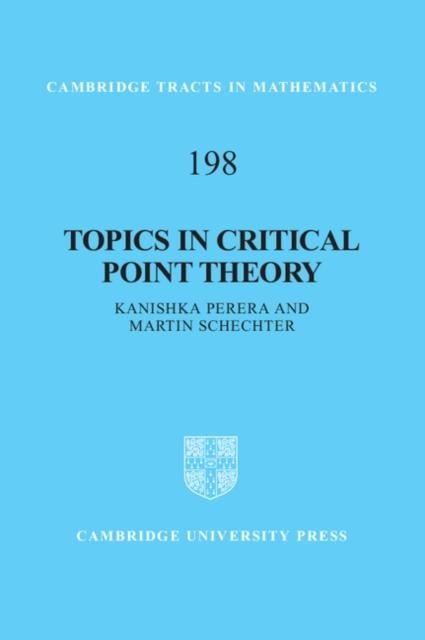 Produktbild: Topics in Critical Point Theory