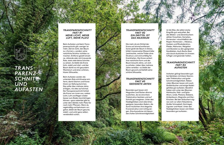 Produktbild: Kleine B&auml;ume f&uuml;r den Garten