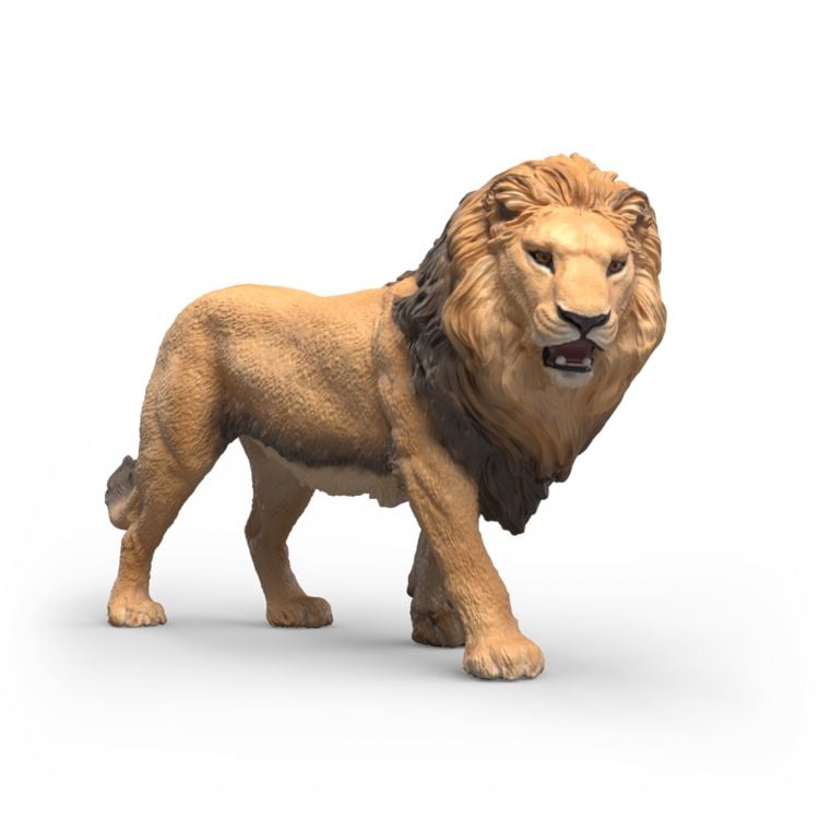 Produktbild: schleich&reg; 14974 Afrikanischer L&ouml;we