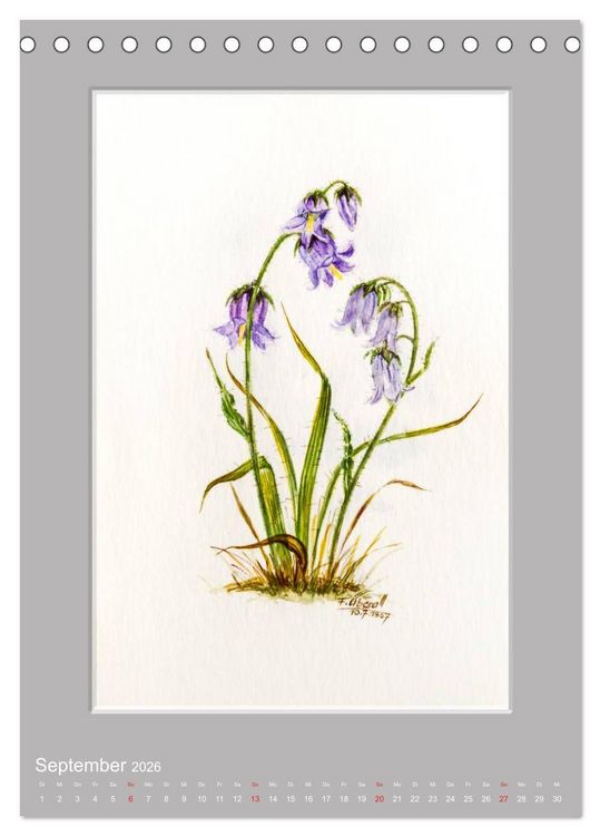 Produktbild: Alpenblumen Aquarelle aus Tirol (Tischkalender 2026 DIN A5 hoch), CALVENDO Monatskalender