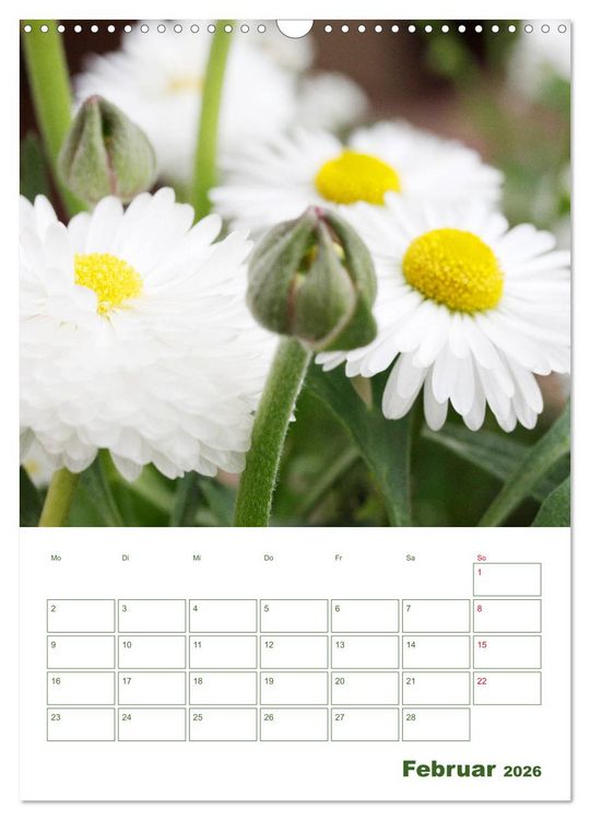 Produktbild: Wei&szlig;e Bl&uuml;ten im Gr&uuml;nen (Wandkalender 2026 DIN A3 hoch), CALVENDO Monatskalender