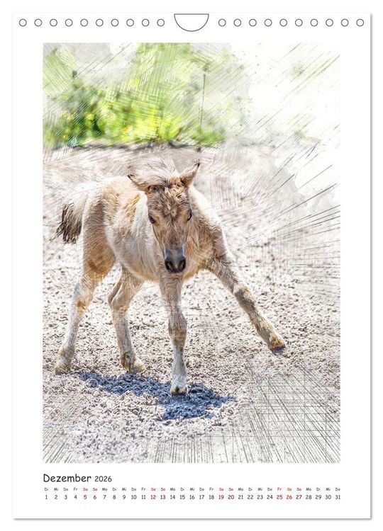 Produktbild: Lebensfreude pur: Fohlen (Wandkalender 2026 DIN A4 hoch), CALVENDO Monatskalender