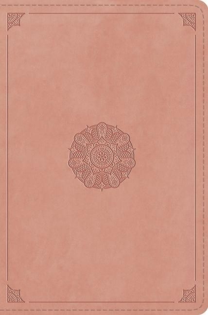 Produktbild: ESV Compact Bible