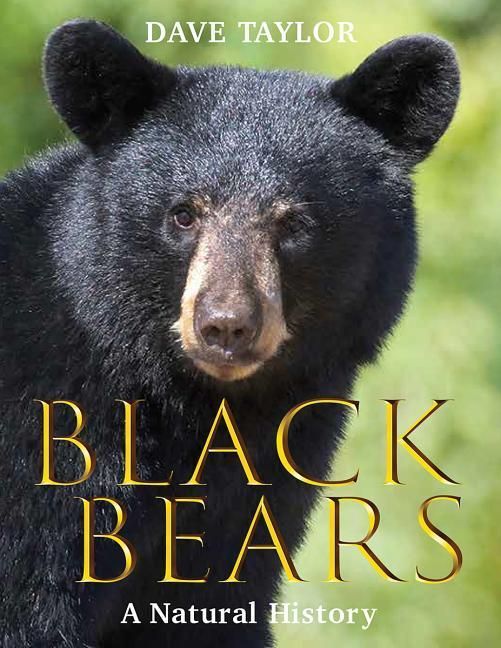 Produktbild: Black Bears