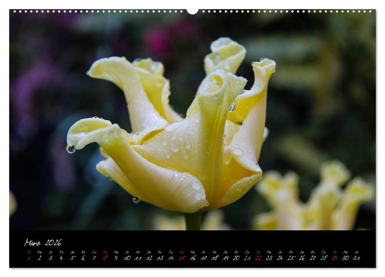Produktbild: Butchart Gardens 2026 (hochwertiger Premium Wandkalender 2026 DIN A2 quer), Kunstdruck in Hochglanz